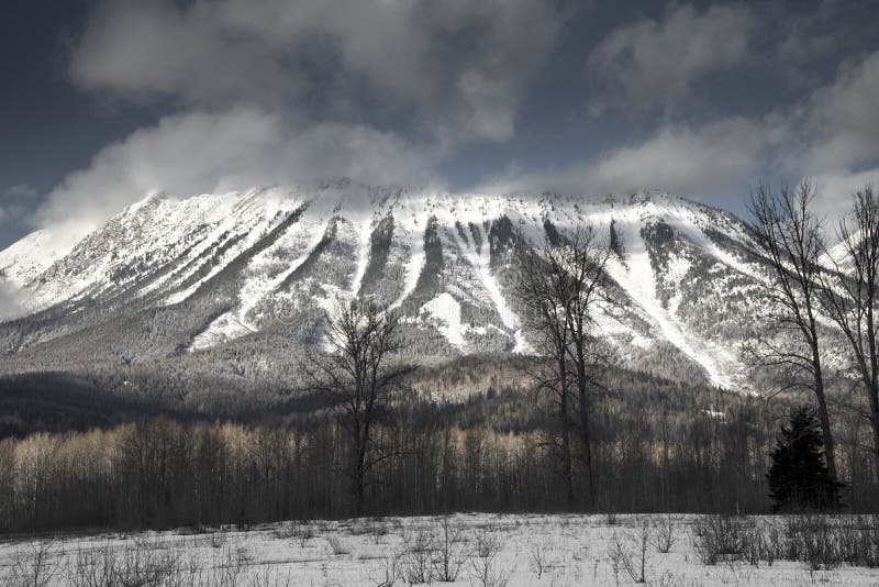 Держатель Fernie стоковые фото Держатель Fernie стоковые фото