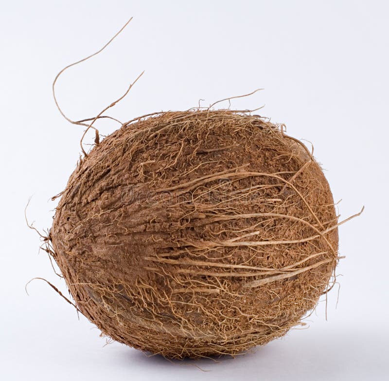 A coconut on a white background. Close-up. A coconut on a white background. Close-up.