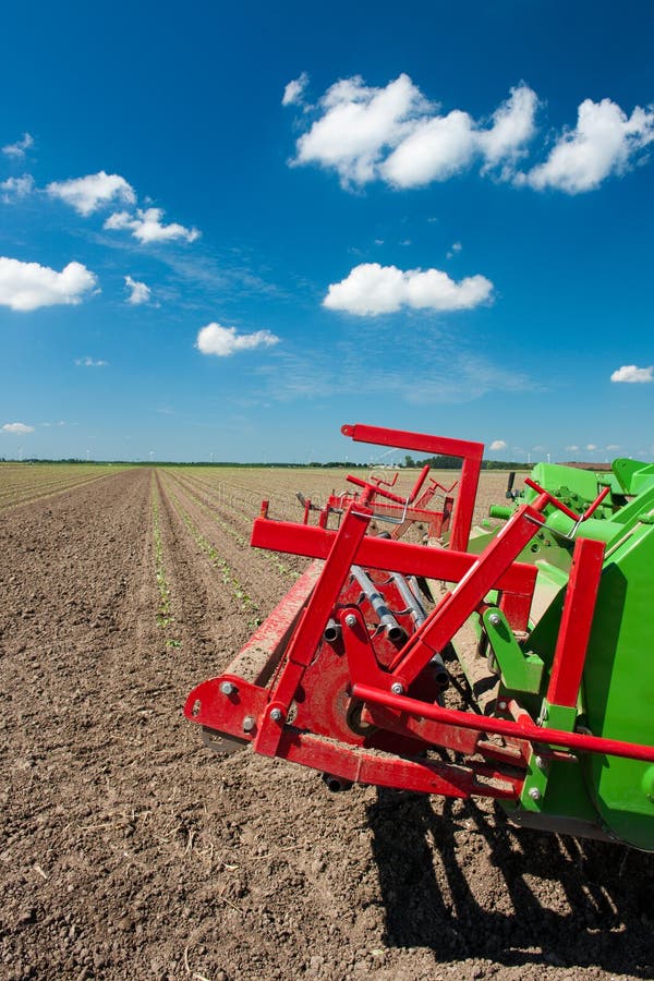 Fields with young vegetable fields and detail of planting machine. Fields with young vegetable fields and detail of planting machine