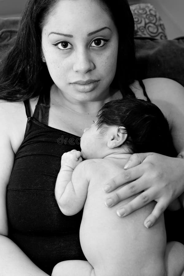детеныши испанской младенческой мати newborn стоковые фотографии rf