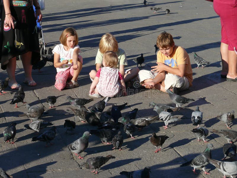 Venice, Italy, october 2, 2011: Children feeds pigeons on St Mark`s square. Venice, Italy, october 2, 2011: Children feeds pigeons on St Mark`s square