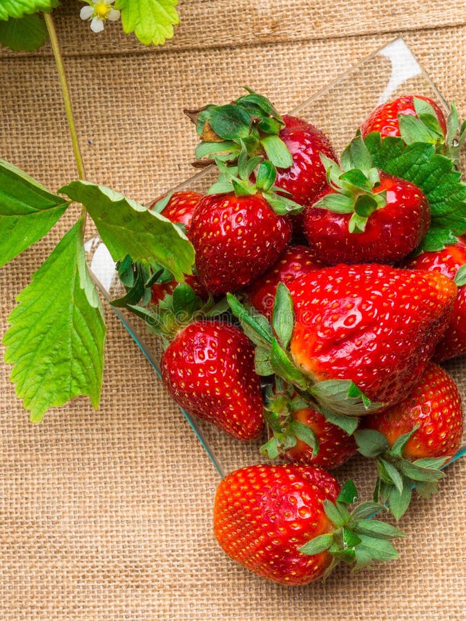 дикая клубника в баке и вкусных свежих strawberrys в стекле на дерюге, питании, ягоде витамина богатой стоковые изображения rf дикая клубника в баке и вкусных свежих strawberrys в стекле на дерюге, питании, ягоде витамина богатой стоковые изображения rf
