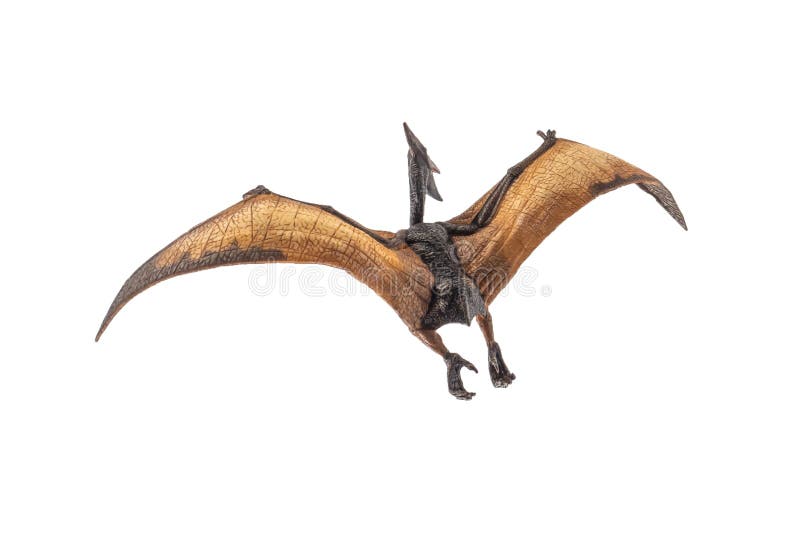 Pteranodon