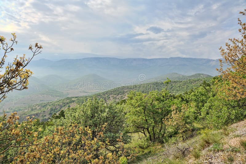 Долина на горе Demerdzhi под облачным небом и туманом стоковое фото Долина на горе Demerdzhi под облачным небом и туманом стоковое фото