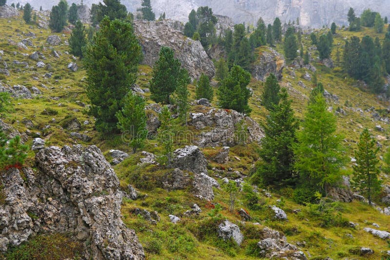 Доломиты - горный хребет, расположенный в северо-восточной Италии Они входят в состав Альп Южного Листона