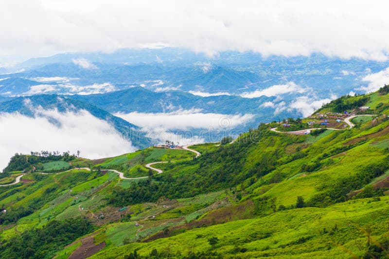 Дорога горы на (tubberk phu) в равенстве соотечественника Phu Hin Rong Kla стоковые фото Дорога горы на (tubberk phu) в равенстве соотечественника Phu Hin Rong Kla стоковые фото