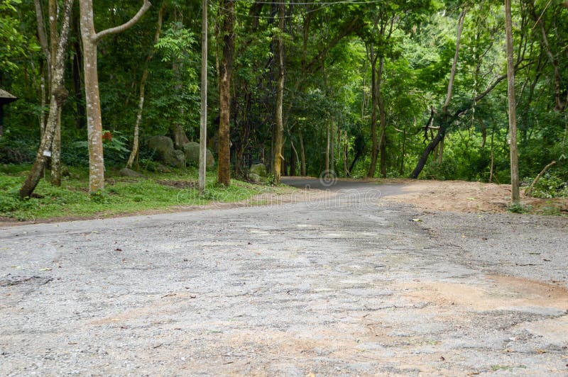 Дорога природы в лесе на Chonburi, Таиланде стоковая фотография Дорога природы в лесе на Chonburi, Таиланде стоковая фотография