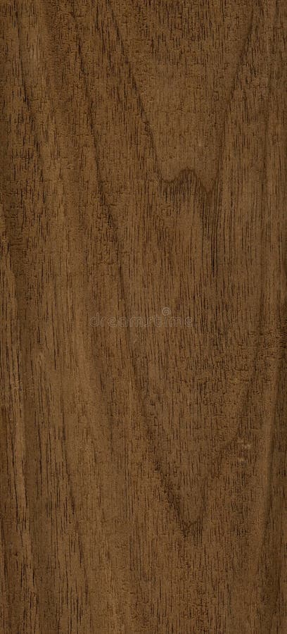 High resolution walnut wood texture. High resolution walnut wood texture