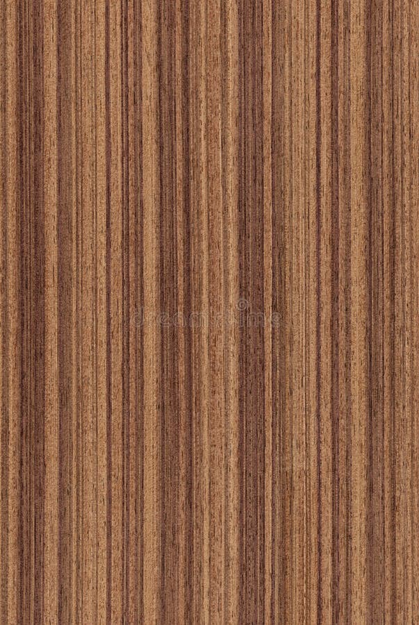 Texture of walnut (high-detailed wood texture series). Texture of walnut (high-detailed wood texture series)