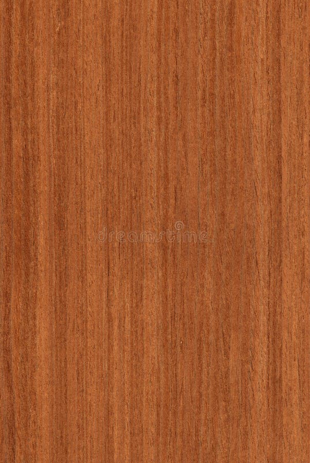 Texture of walnut (high-detailed wood texture series). Texture of walnut (high-detailed wood texture series)