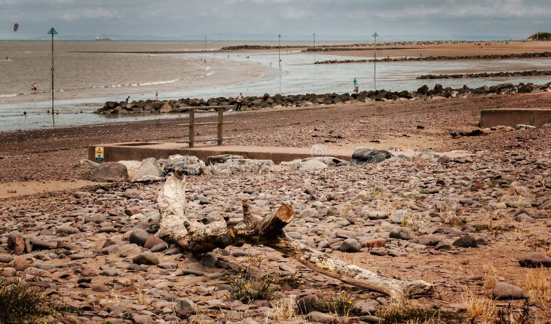 Древесина смещения в пляже Minehead стоковые фото Древесина смещения в пляже Minehead стоковые фото