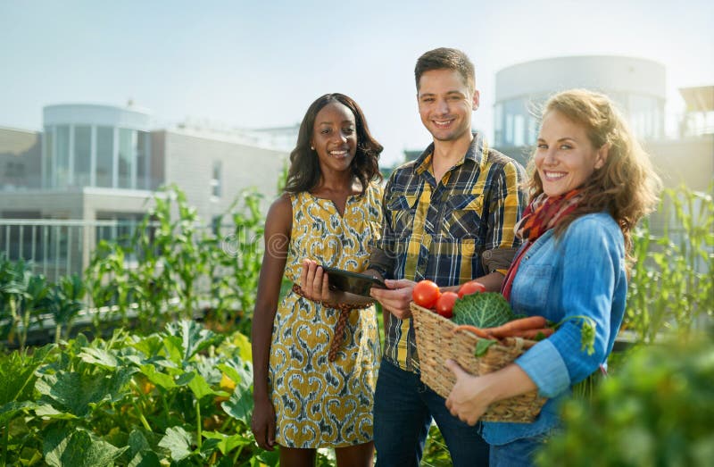 Group of gardeners tending to organic crops and picking up a bountiful basket full of fresh produce from their small business. Group of gardeners tending to organic crops and picking up a bountiful basket full of fresh produce from their small business