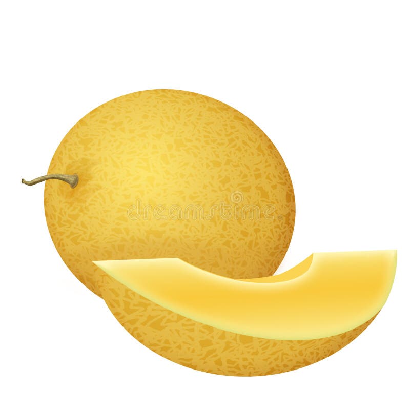 Дыня honeydew целого и куска свежая иллюстрация вектора