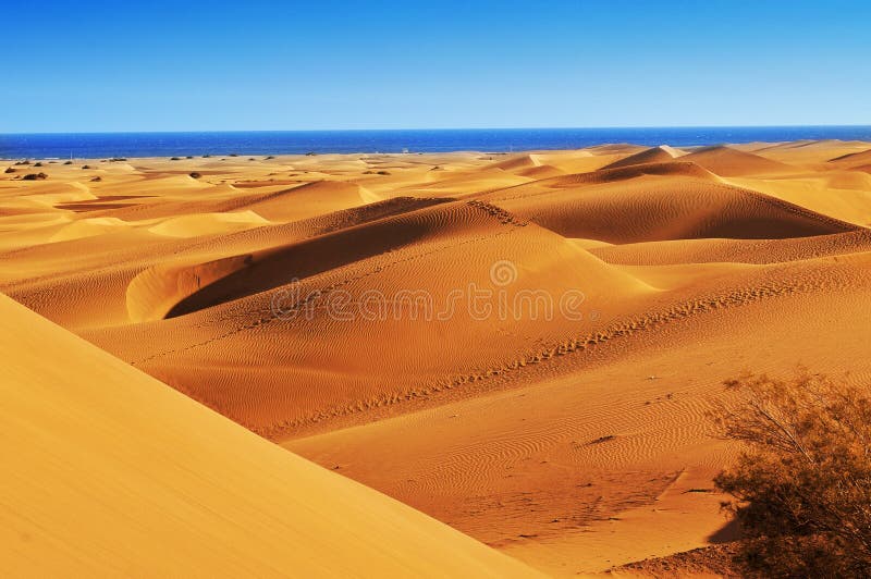 Дюны Maspalomas, в Gran Canaria, Испания стоковые изображения rf Дюны Maspalomas, в Gran Canaria, Испания стоковые изображения rf