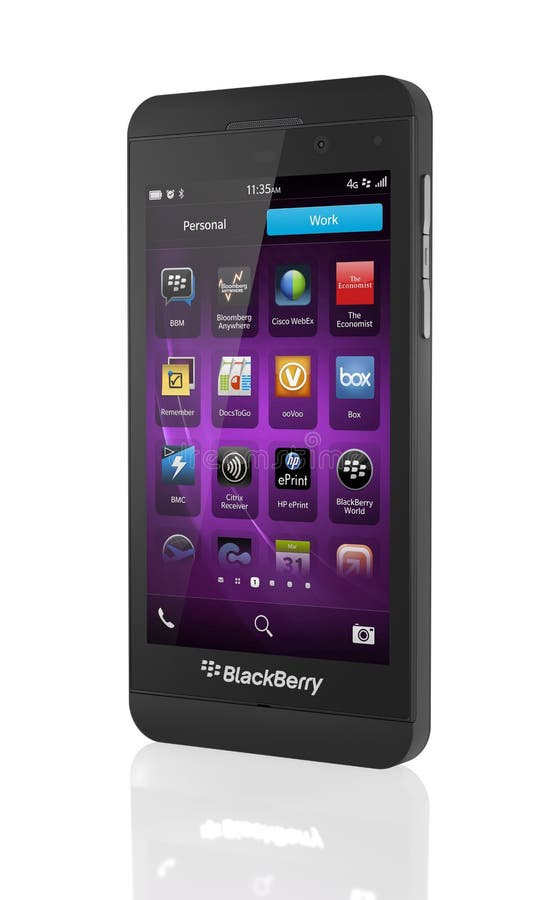Ежевика Z10 стоковое изображение Ежевика Z10 стоковое изображение