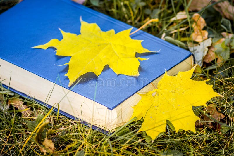 Желтые кленовые листы на книге с голубой крышкой на траве в woods_ стоковые фото