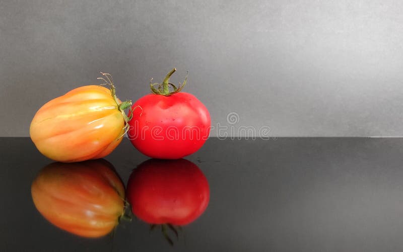 желтый и красный томат и серый фон стоковая фотография