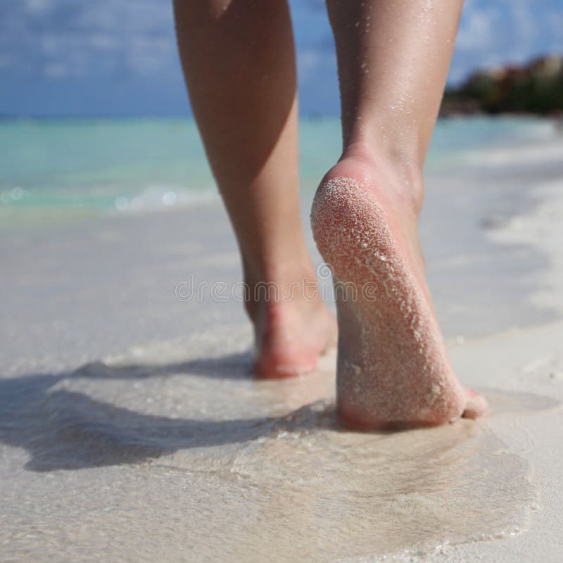 Female Feet on Tropical Sand Beach. Legs Walking. Closeup. Female Feet on Tropical Sand Beach. Legs Walking. Closeup