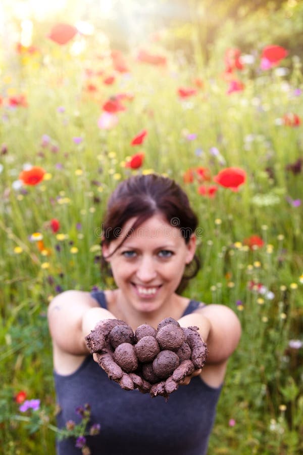 Woman is holding fresh produced seed balls or seed bombs in front of a colorful flower field. Woman is holding fresh produced seed balls or seed bombs in front of a colorful flower field