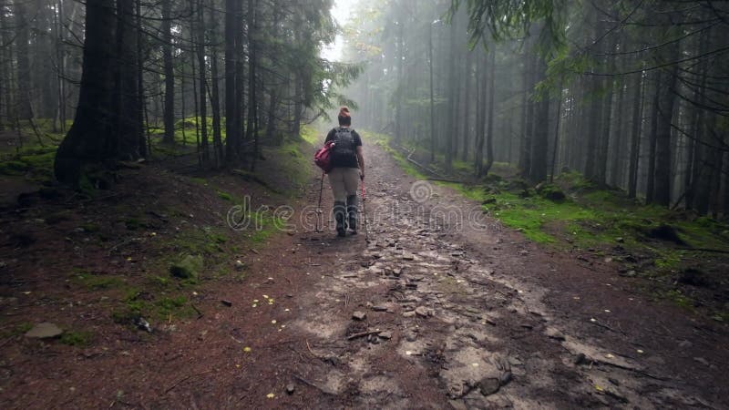 женщина идет по лесной дороге, карабкаясь в горы