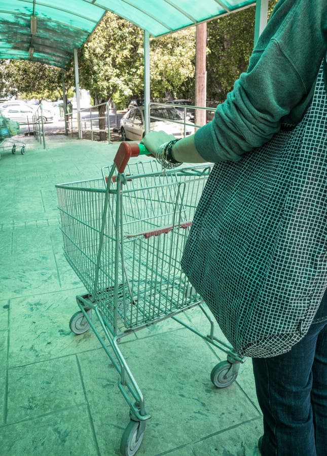 Женщина нося вагонетку супермаркета стоковое изображение Женщина нося вагонетку супермаркета стоковое изображение