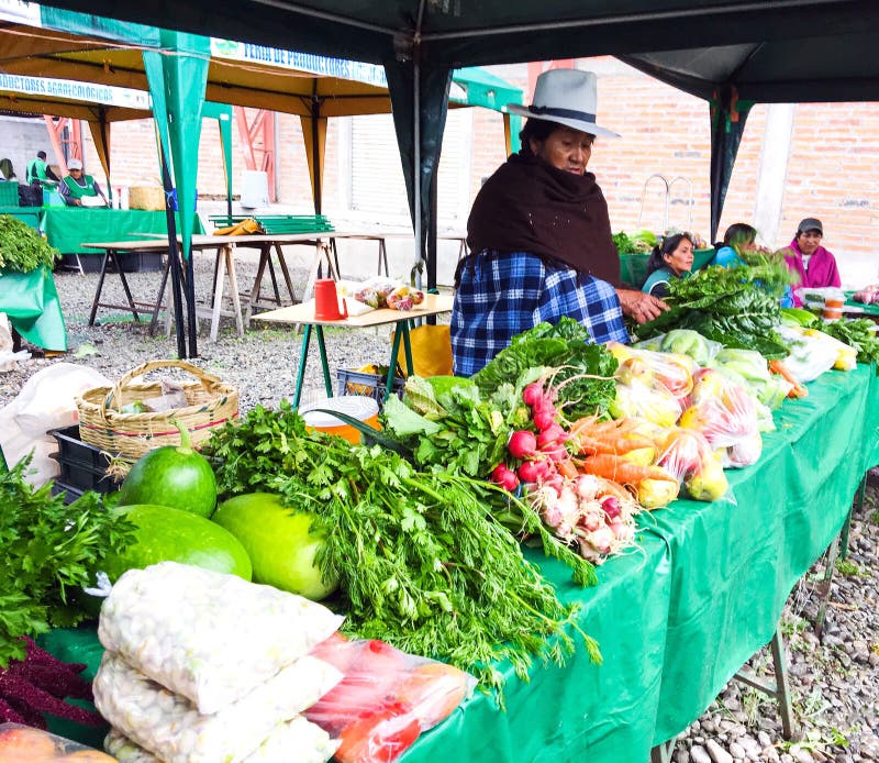 Женщина продавая органическую продукцию на рынке в Cuenca, эквадоре стоковая фотография rf Женщина продавая органическую продукцию на рынке в Cuenca, эквадоре стоковая фотография rf