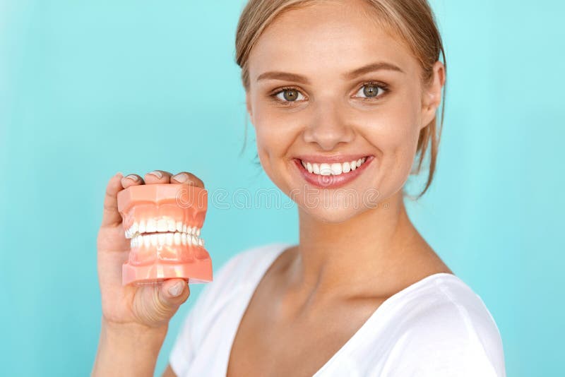 Dentistry. Closeup Portrait Of Beautiful Smiling Woman With White Smile, Healthy Teeth Holding Artificial Dental Model Of Human Jaw. Oral, Dental Health, Tooth Care Concepts. High Resolution Image. Dentistry. Closeup Portrait Of Beautiful Smiling Woman With White Smile, Healthy Teeth Holding Artificial Dental Model Of Human Jaw. Oral, Dental Health, Tooth Care Concepts. High Resolution Image