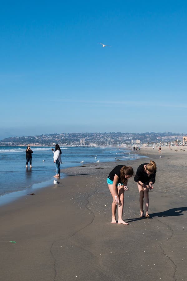 Женщины Beachcombing на пляже полета в Сан-Диего стоковые фотографии rf Женщины Beachcombing на пляже полета в Сан-Диего стоковые фотографии rf