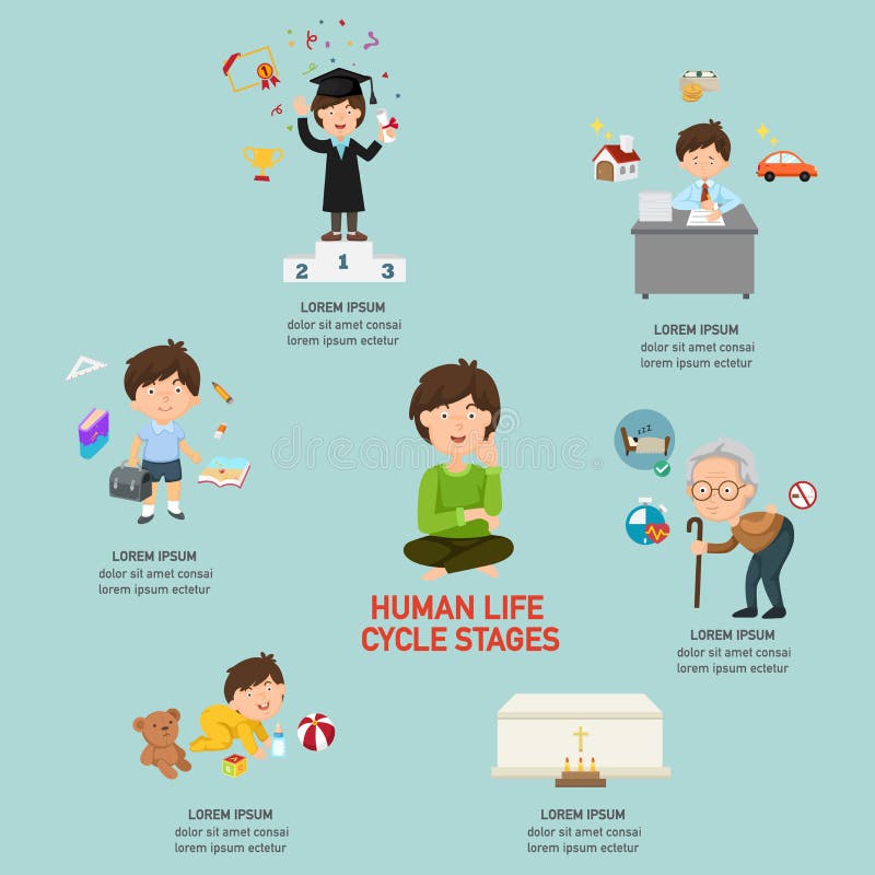 Human life cycle stages infographic,vector illustration. Human life cycle stages infographic,vector illustration.