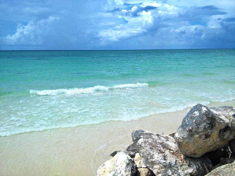 Жизнь острова Bahama стоковые изображения Жизнь острова Bahama стоковые изображения