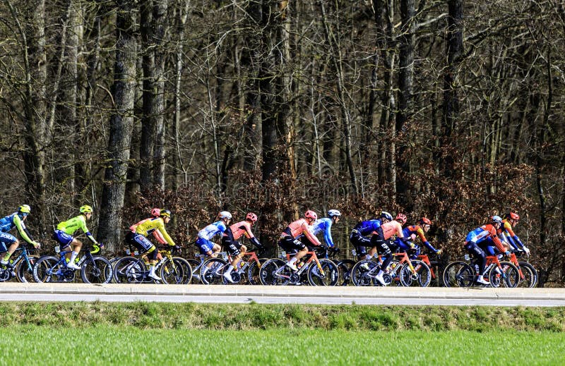 Les Mesnuls, France - March 03, 2024: The Dutch cyclist Olav Kooij of Team Visma-Lease a Bike in Yellow Jersey riding in the peloton in a field during the first stage of Paris-Nice 2024. Les Mesnuls, France - March 03, 2024: The Dutch cyclist Olav Kooij of Team Visma-Lease a Bike in Yellow Jersey riding in the peloton in a field during the first stage of Paris-Nice 2024