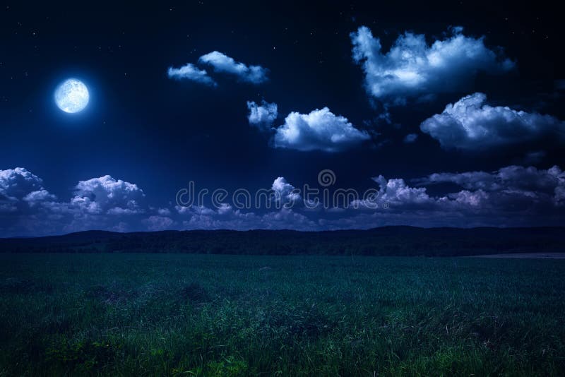 Залитая лунным светом ноча на природе