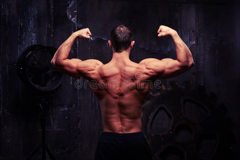 Задний взгляд модели фитнеса мужской показывая его натренированное muscled shou стоковая фотография rf Задний взгляд модели фитнеса мужской показывая его натренированное muscled shou стоковая фотография rf
