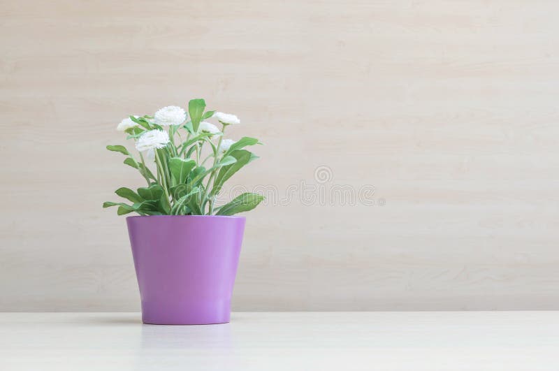 Завод крупного плана искусственный с белым цветком на фиолетовом баке на запачканных деревянных столе и стене текстурировал предп
