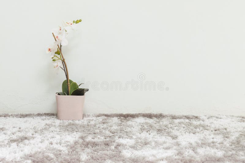 Завод крупного плана искусственный с белым цветком орхидеи в розовом баке на стене запачканного серого ковра и белого цемента тек