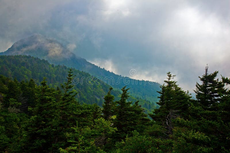Forested mountaintop in clouds. Grandfather Mountain, North Carolina. Forested mountaintop in clouds. Grandfather Mountain, North Carolina.