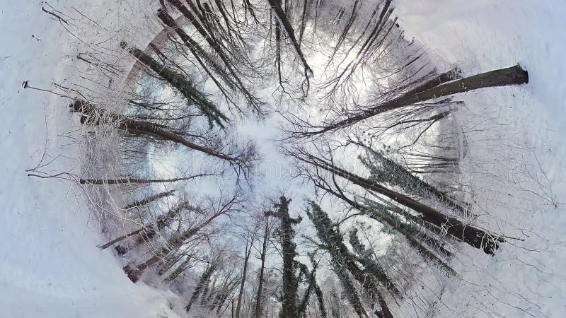 завораживающее путешествие по заснеженному лесу и 360-градусный зимний отдых