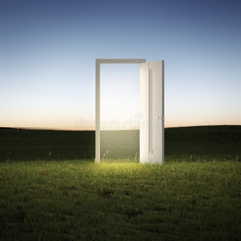 Illuminated door in a green clean field. Illuminated door in a green clean field