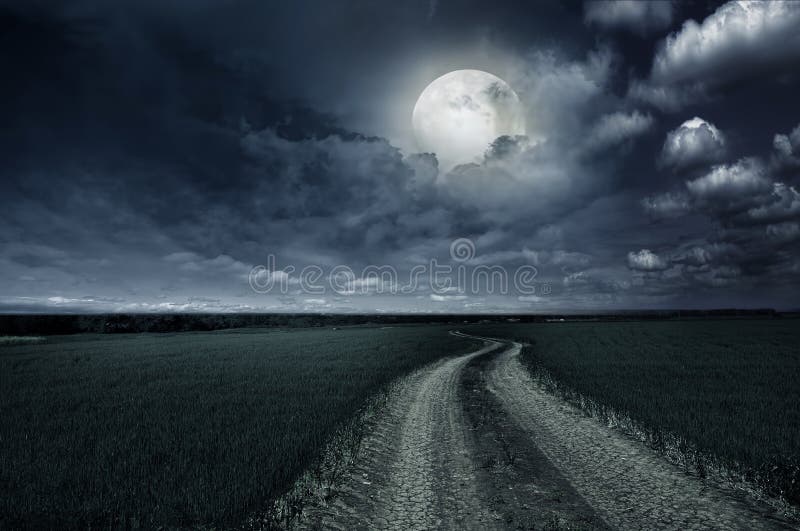 Countryroad night bright illuminated large moon. Countryroad night bright illuminated large moon