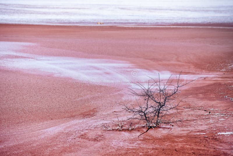 pollution with tailings from the alumina plant in Tulcea, Romania. pollution with tailings from the alumina plant in Tulcea, Romania