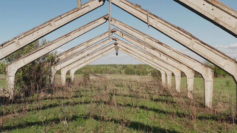 Загубленный из сарая. С уничтоженной крышей. Получившаяся отказ frame коровника.