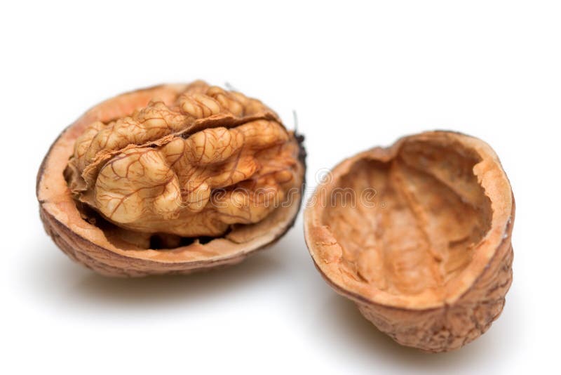 Close-up of a walnut against white background. Close-up of a walnut against white background