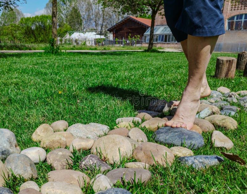 Close-up on the feet of a Caucasian man engaged in a barefoot path: a stretch of rounded stones follows wooden trunks on a meadow. Beautiful sunny day. Close-up on the feet of a Caucasian man engaged in a barefoot path: a stretch of rounded stones follows wooden trunks on a meadow. Beautiful sunny day