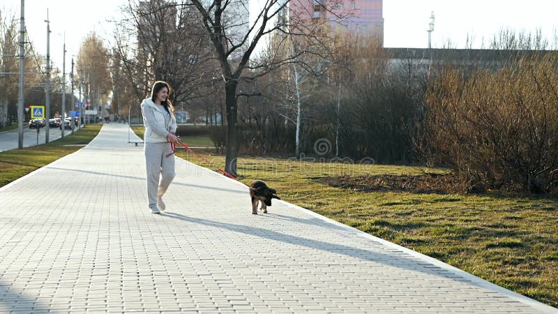 Замедленное движение женщина идет вдоль аллеи в парке со смешным собакой на крутом утром весны отдыха на набережной a видеоматериал