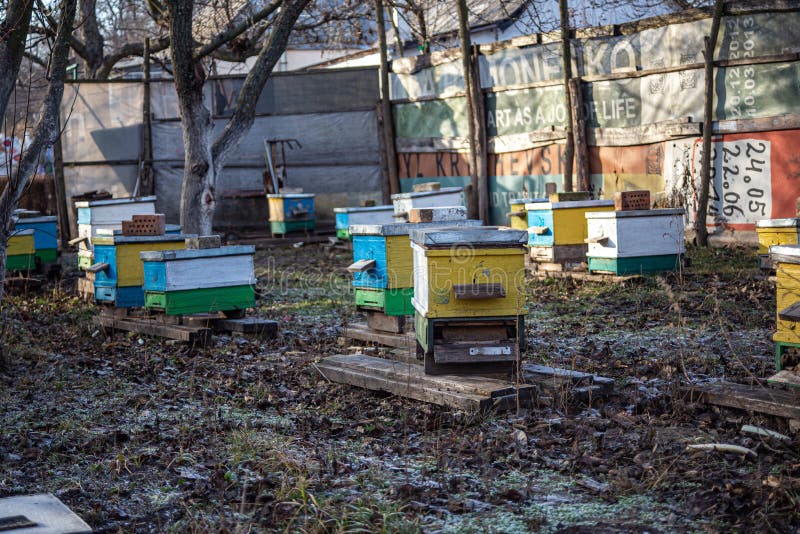 замёрзнуть на земле в апьере зимой. теплые дни в декабре. перевод ульев на зиму. замораживание стоковая фотография