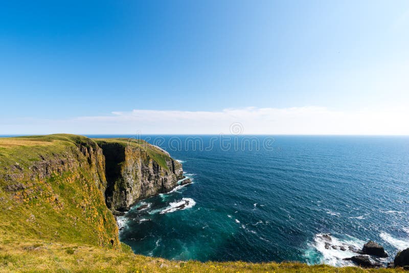 Bird Colony on the rugged cliffs of Cape St. Mary`s Ecological Reserve. Bird Colony on the rugged cliffs of Cape St. Mary`s Ecological Reserve