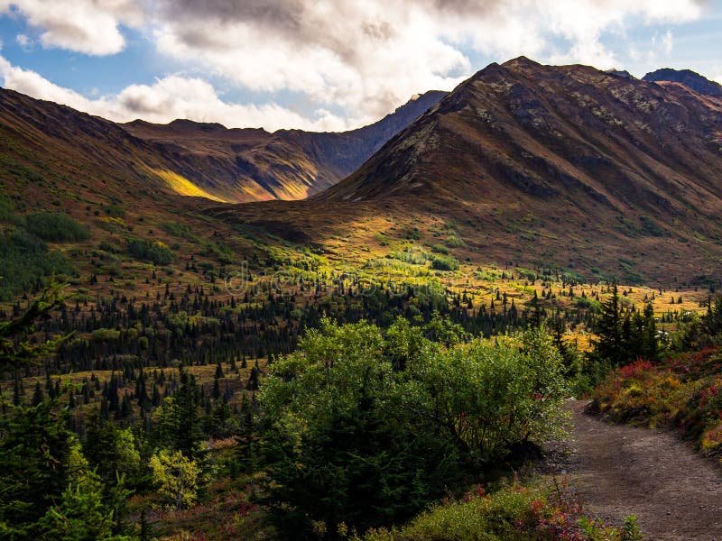 An overlook of a forested valley in Alaska. Dappled sun and blue sky with clouds. Hanging valley in distance, with summits and mountain peaks. An overlook of a forested valley in Alaska. Dappled sun and blue sky with clouds. Hanging valley in distance, with summits and mountain peaks.