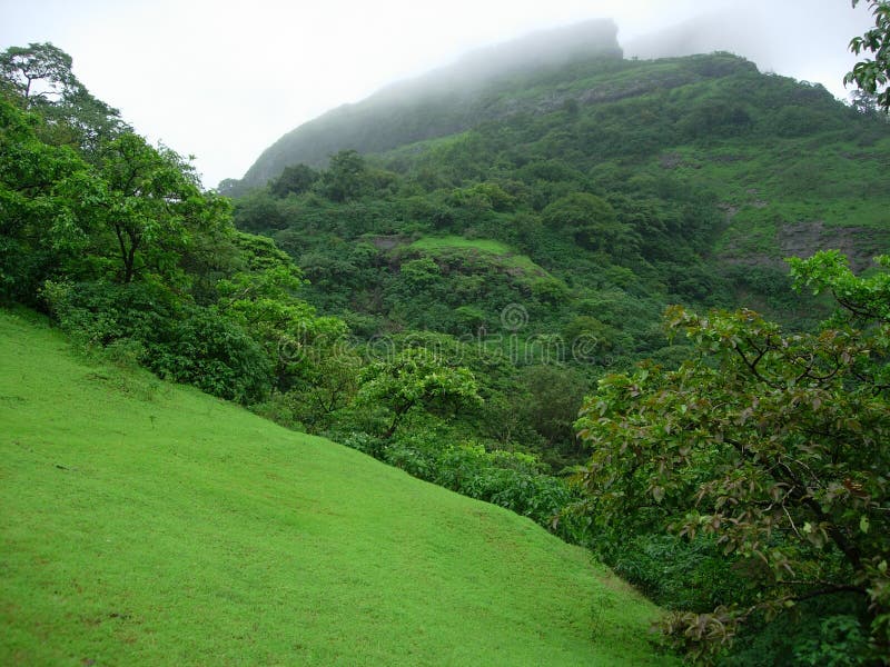 Scenic view of monsoon rainclouds over green forested mountainside. Scenic view of monsoon rainclouds over green forested mountainside.