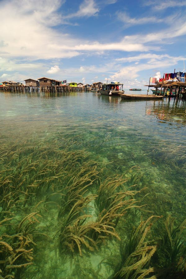 засоритель моря стоковое фото засоритель моря стоковое фото