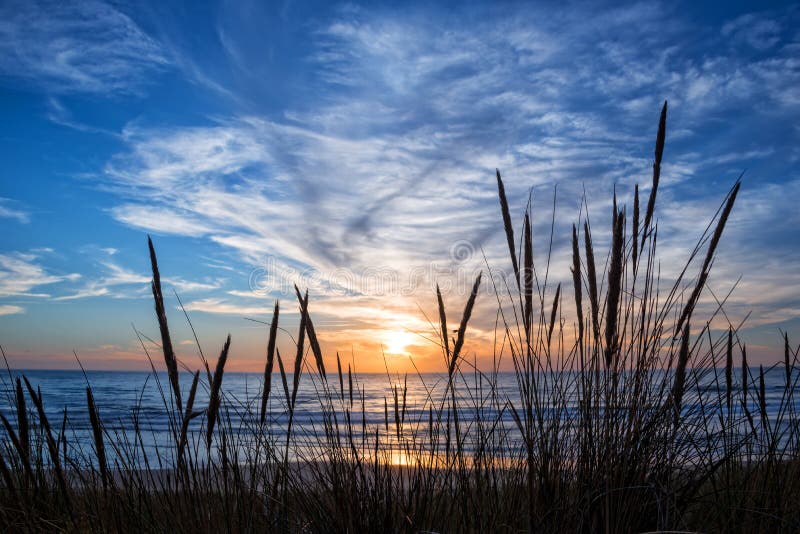 Заход солнца на Атлантическом океане, силуэте травы пляжа